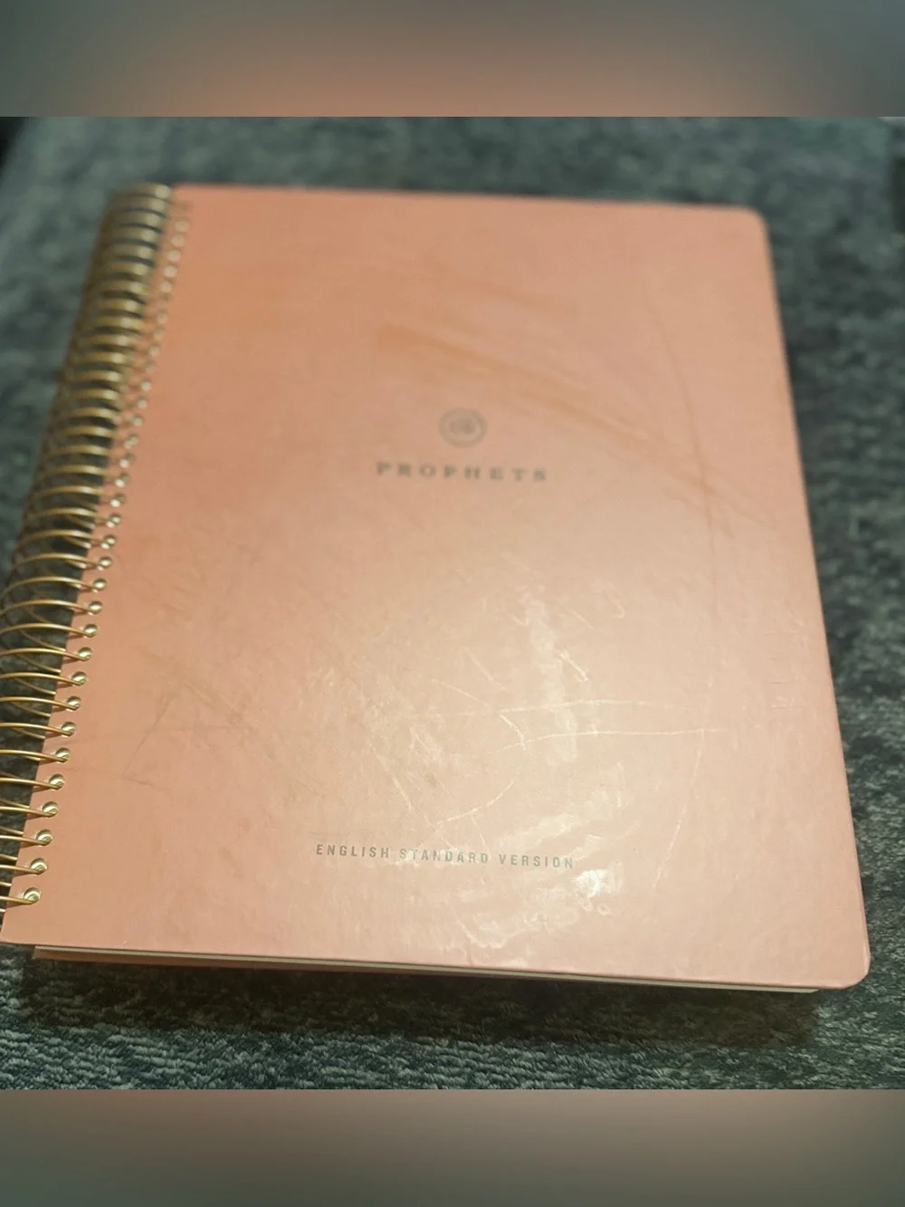 ESV Spiral-Bound Journaling Bible (Hardcover): Prophets
